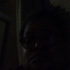 Meet your Posher, Ella